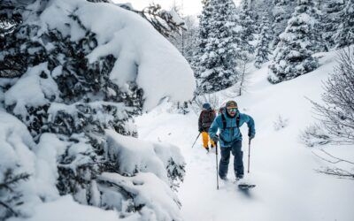 Tutto quello che avreste voluto sapere sulla Splitboard ma non avete mai osato chiedere