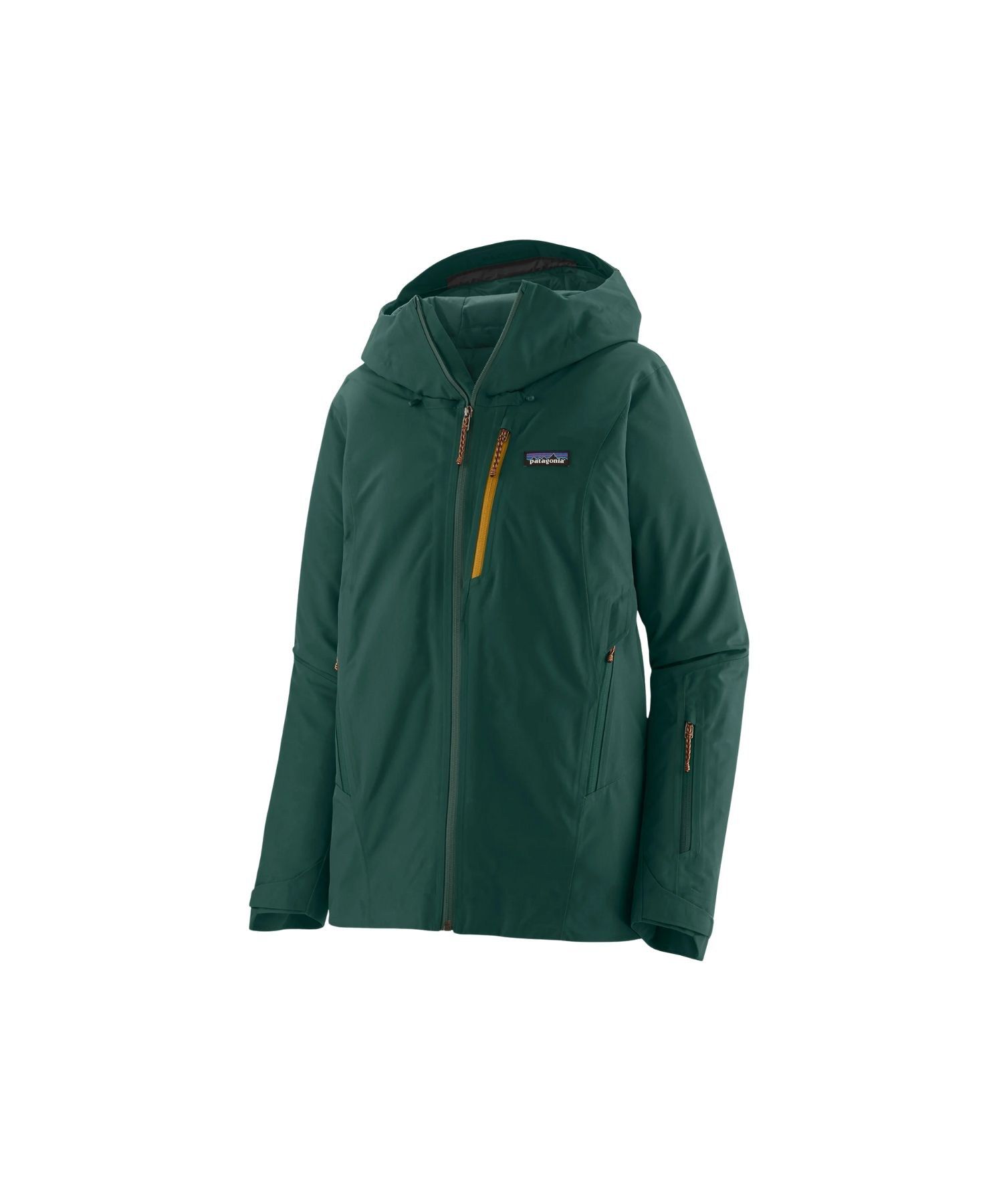 Patagonia W's Insulated Storm Shift Jkt Casg